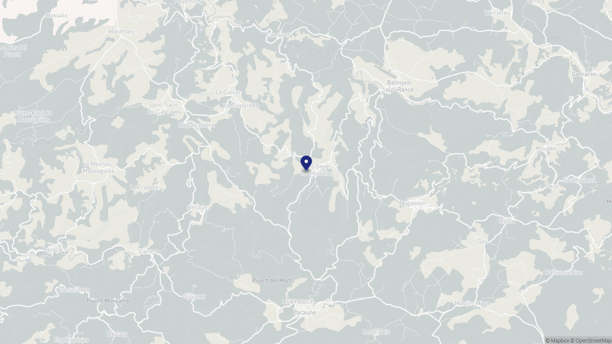 Aperçu cartographique de Saint-Sever-du-Moustier, centré sur la commune
