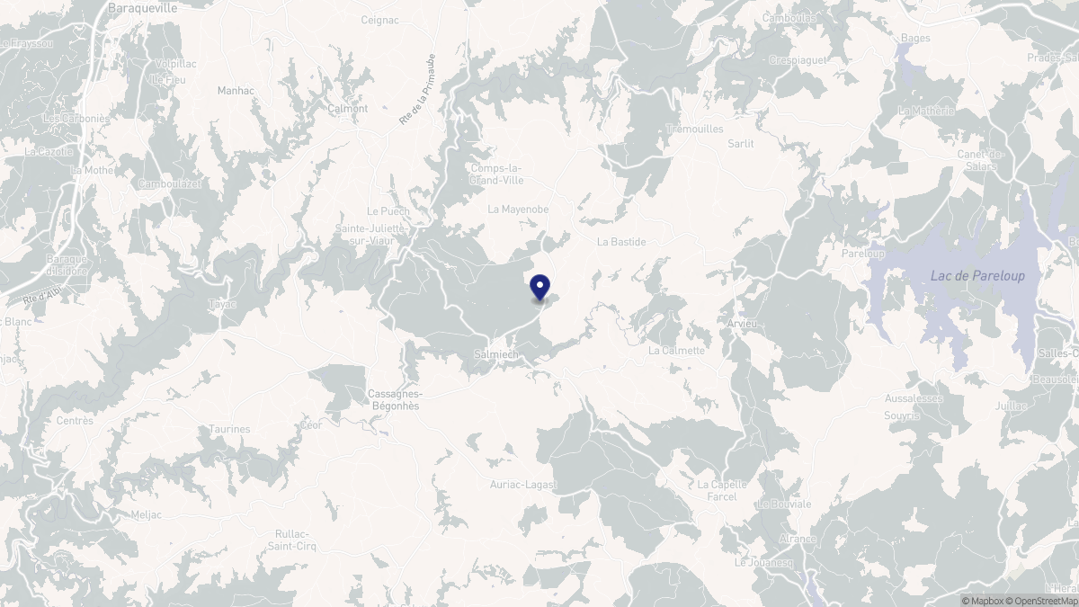 Aperçu cartographique de Salmiech, centré sur la commune