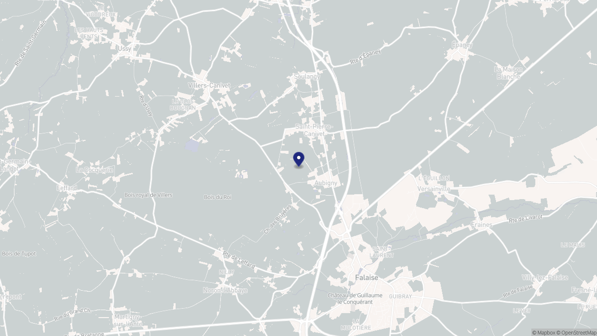 Aperçu cartographique de Saint-Pierre-Canivet, centré sur la commune