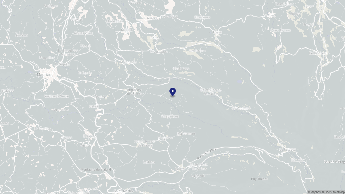 Aperçu cartographique de Anglards-de-Salers, centré sur la commune