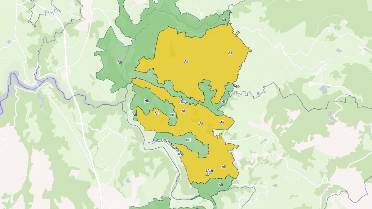 Aperçu cartographique de Chaliers, centré sur la commune