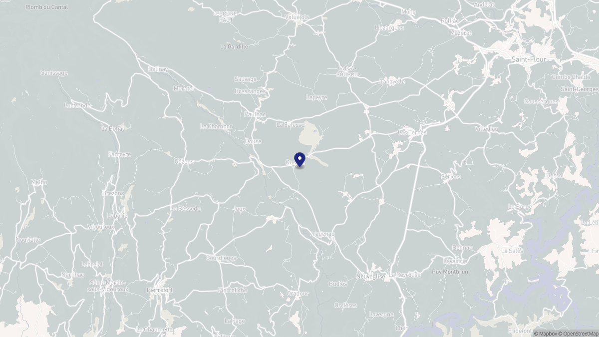 Aperçu cartographique de Cussac, centré sur la commune