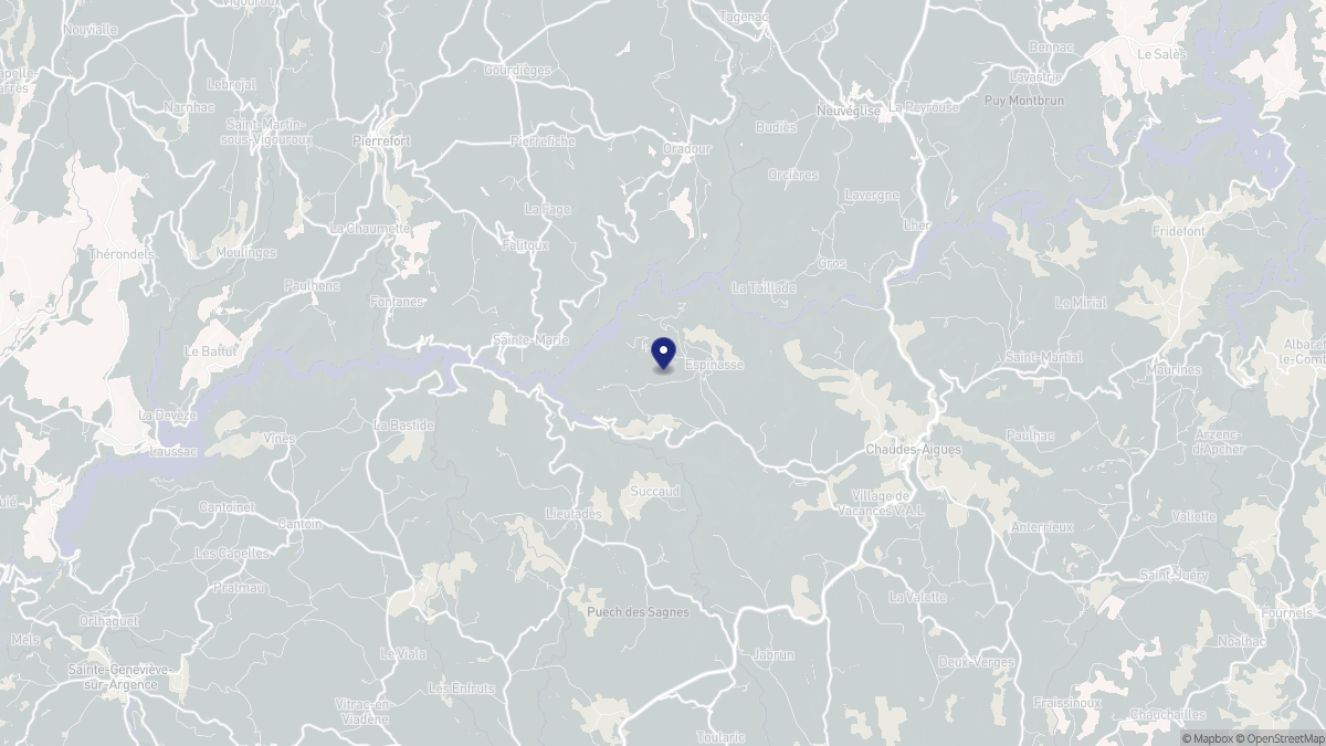 Aperçu cartographique de Espinasse, centré sur la commune