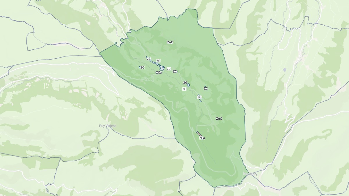 Aperçu cartographique de Le Falgoux, centré sur la commune