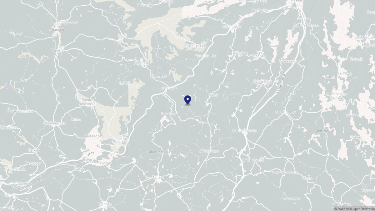 Aperçu cartographique de Ferrières-Saint-Mary, centré sur la commune