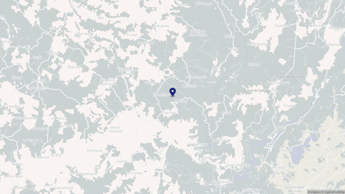 Aperçu cartographique de Ladinhac, centré sur la commune