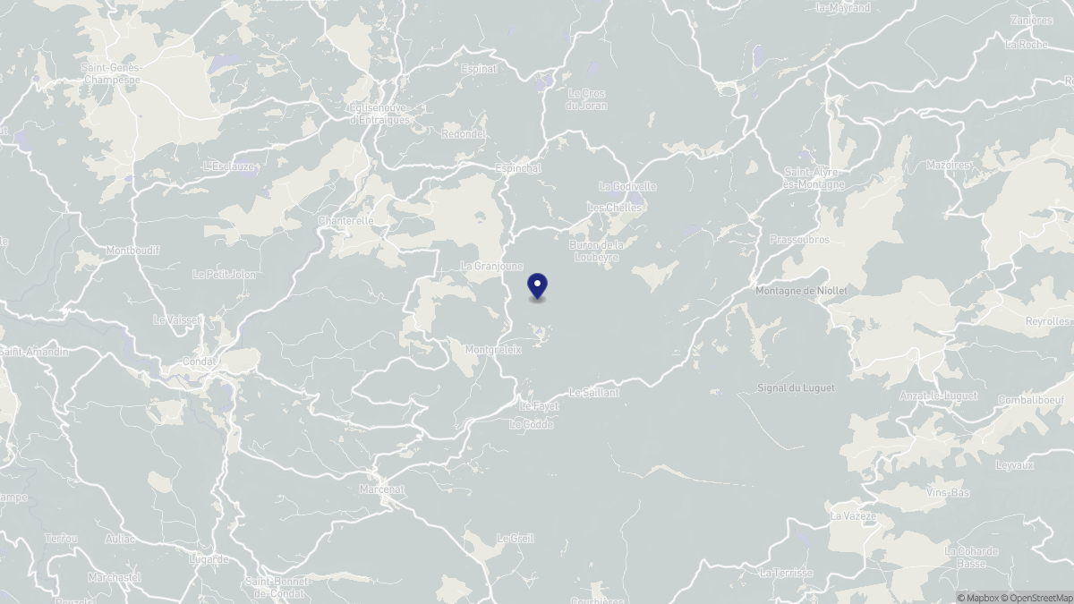 Aperçu cartographique de Montgreleix, centré sur la commune