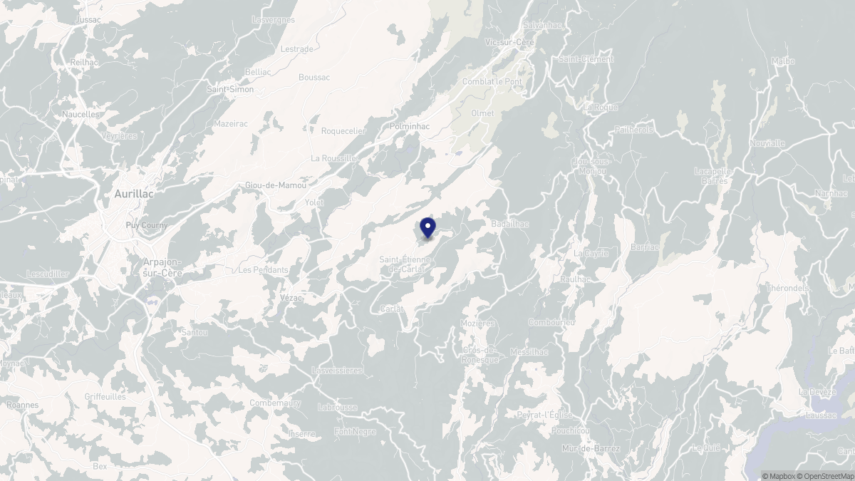Aperçu cartographique de Saint-Étienne-de-Carlat, centré sur la commune