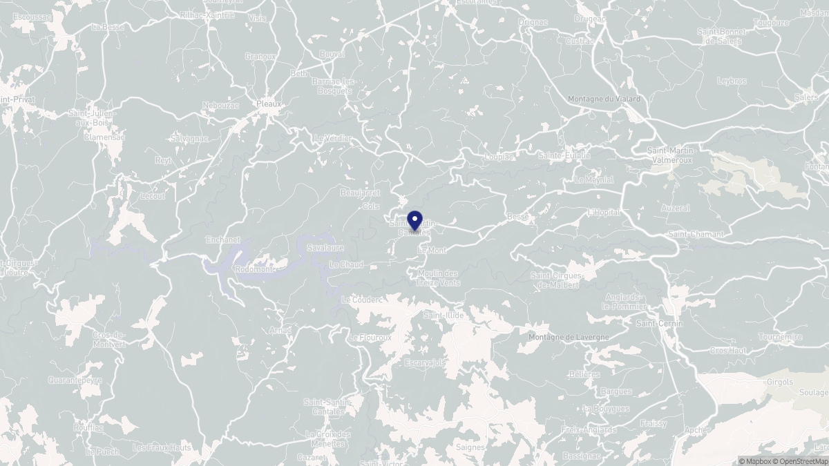 Aperçu cartographique de Saint-Martin-Cantalès, centré sur la commune