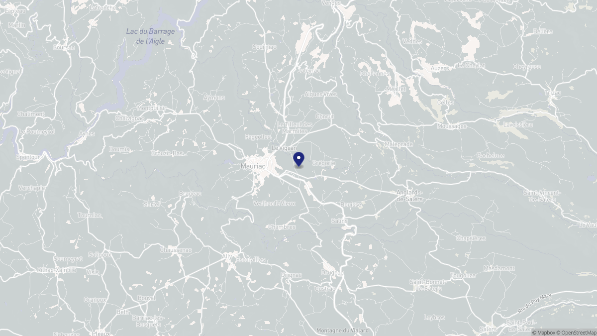 Aperçu cartographique de Le Vigean, centré sur la commune