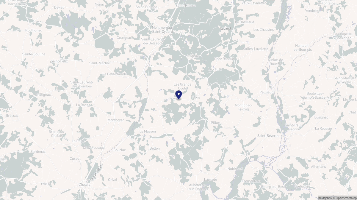 Aperçu cartographique de Bors (Canton de Tude-et-Lavalette), centré sur la commune