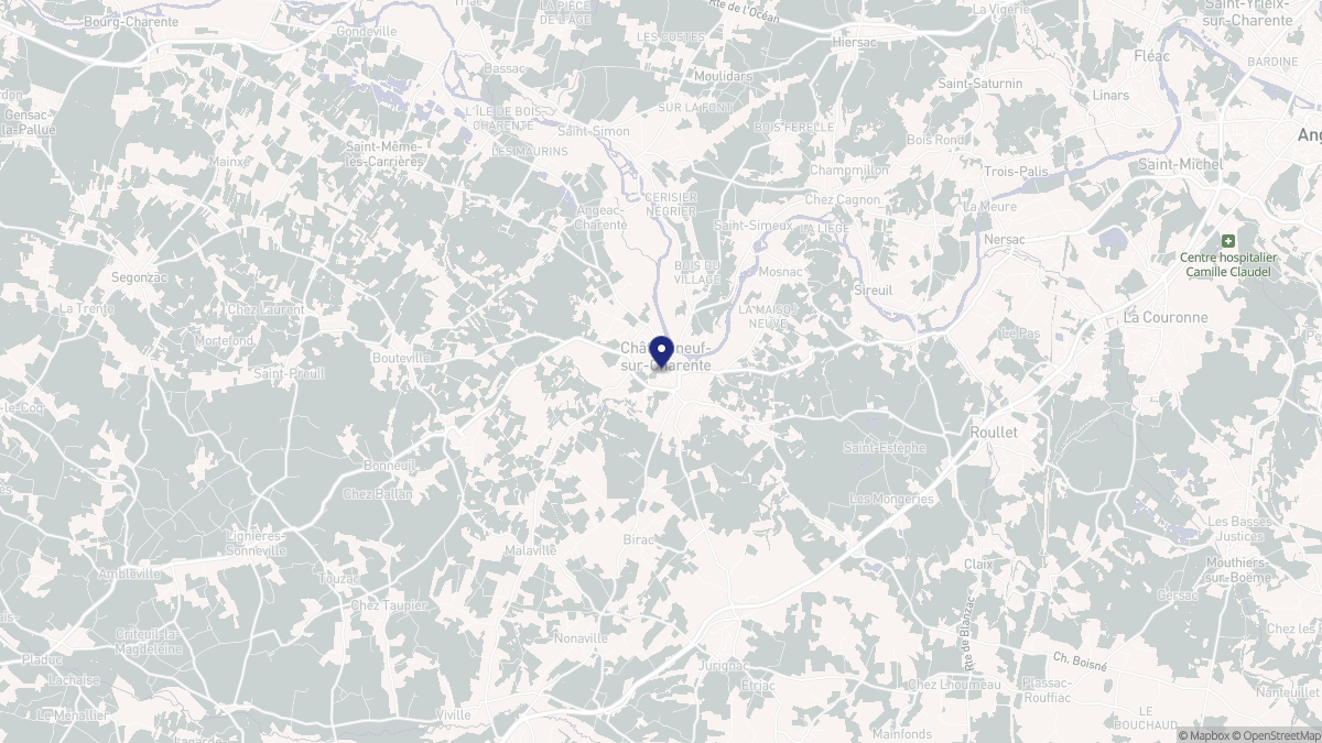 Aperçu cartographique de Châteauneuf-sur-Charente, centré sur la commune