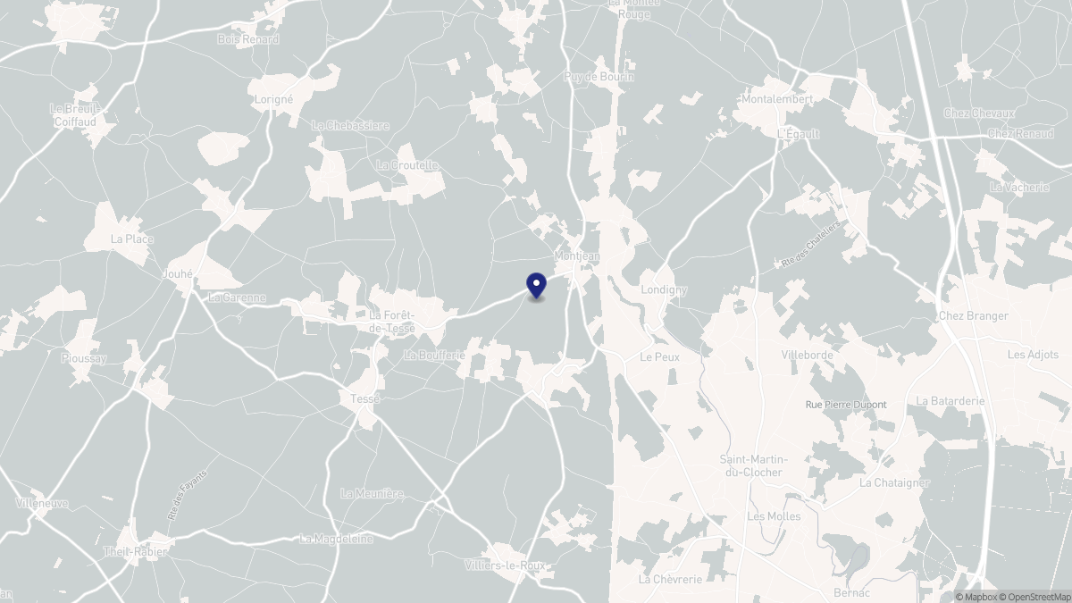 Aperçu cartographique de Montjean, centré sur la commune