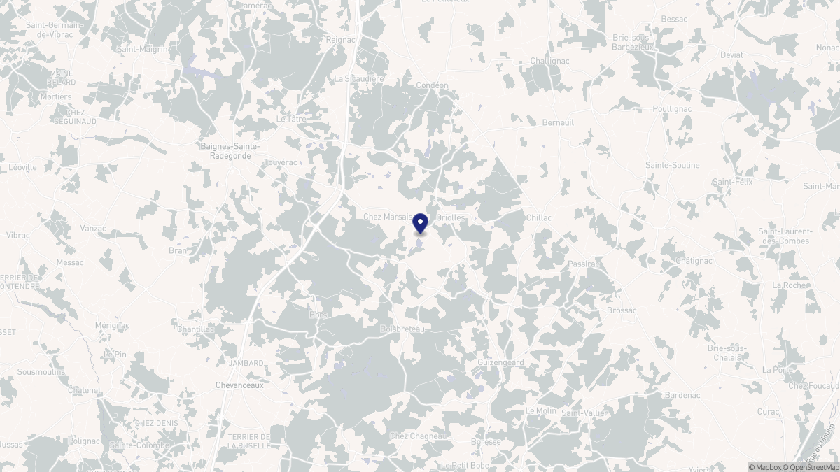 Aperçu cartographique de Oriolles, centré sur la commune