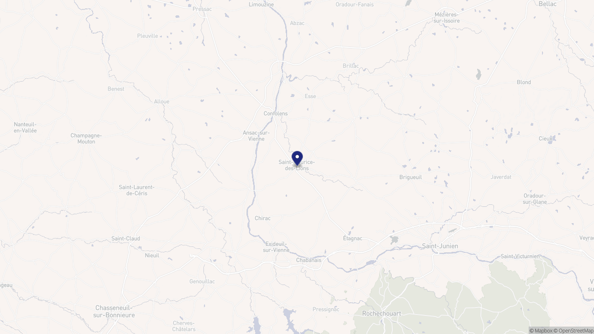 Aperçu cartographique de Saint-Maurice-des-Lions, centré sur la commune