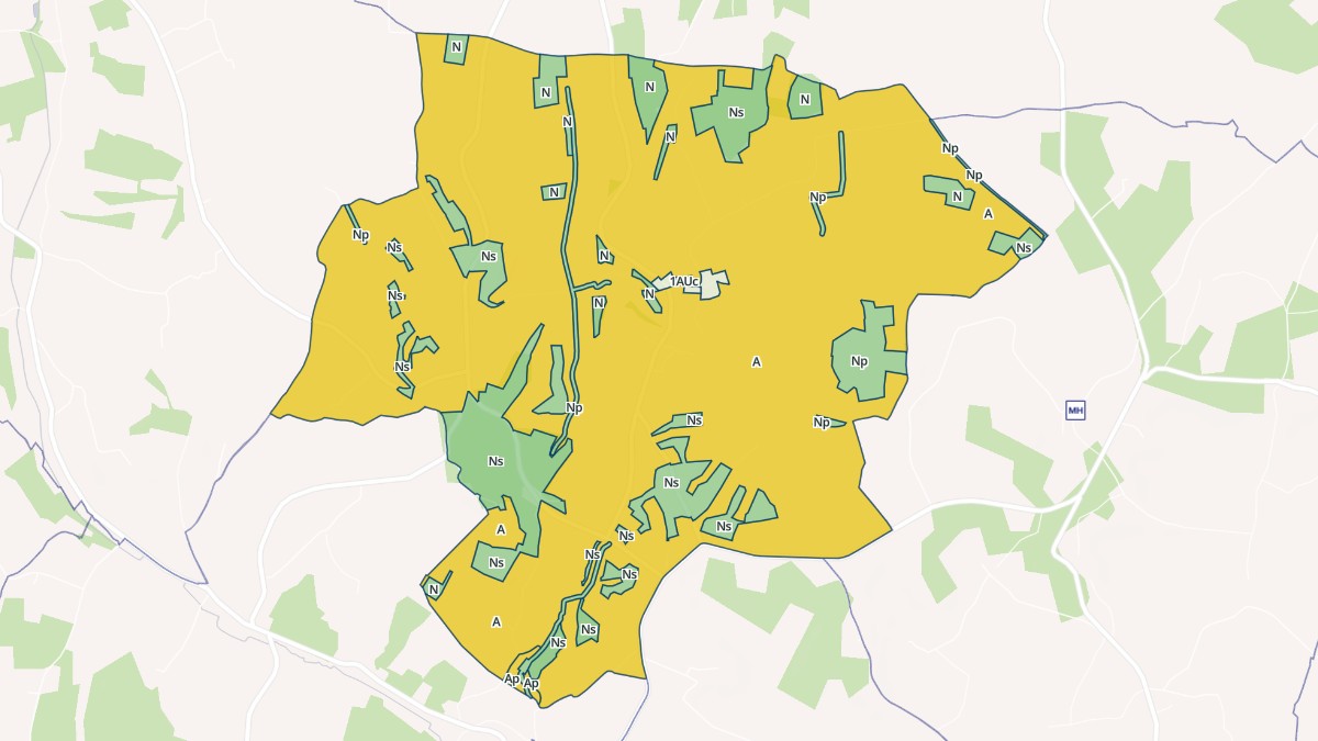 Aperçu cartographique de Sainte-Souline, centré sur la commune