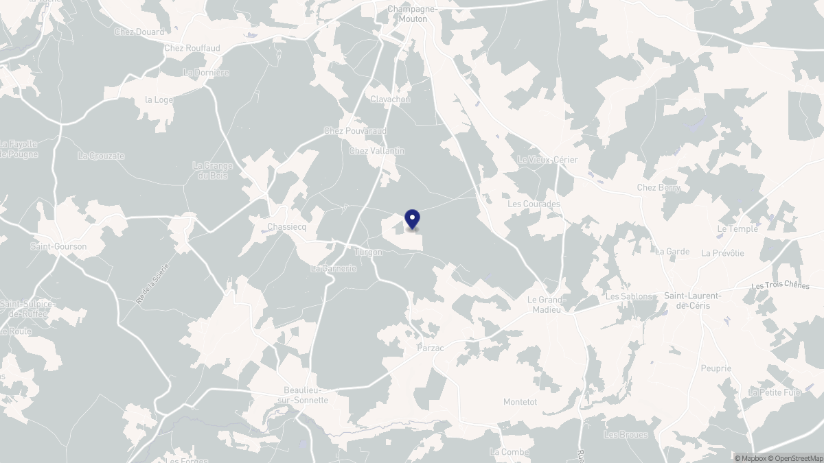 Aperçu cartographique de Turgon, centré sur la commune