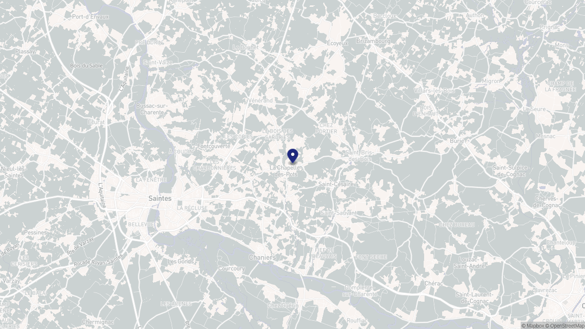 Aperçu cartographique de La Chapelle-des-Pots, centré sur la commune