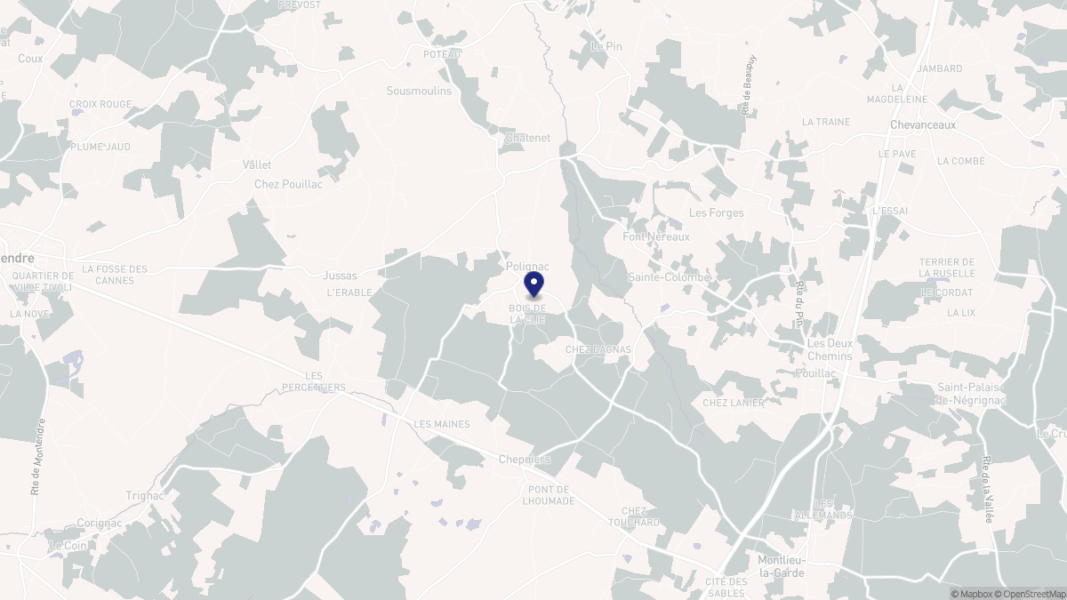 Aperçu cartographique de Polignac, centré sur la commune