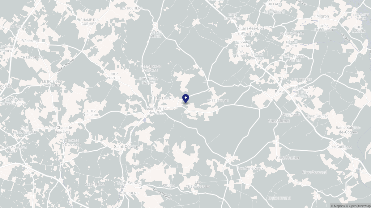 Aperçu cartographique de Saint-Bris-des-Bois, centré sur la commune