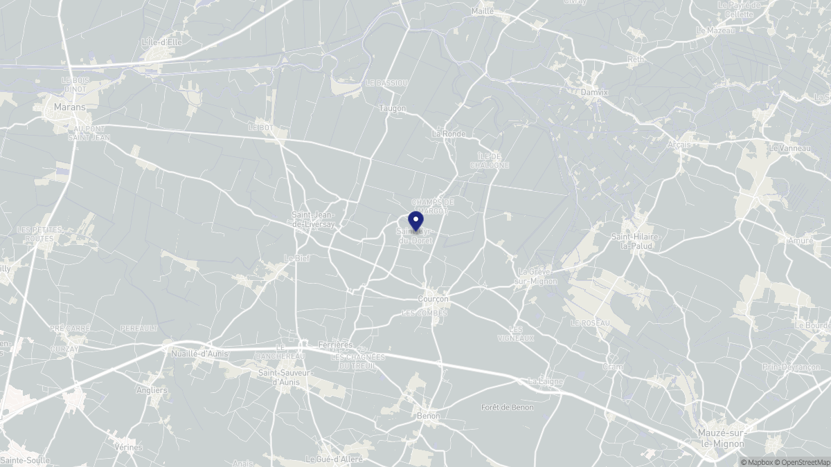 Aperçu cartographique de Saint-Cyr-du-Doret, centré sur la commune