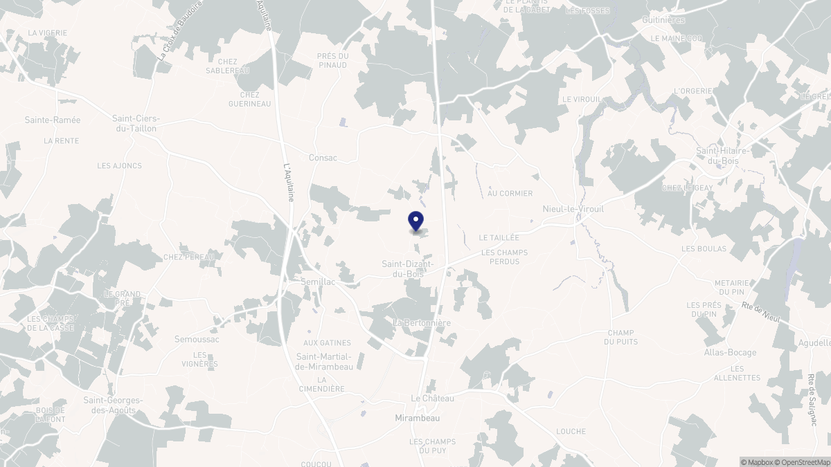 Aperçu cartographique de Saint-Dizant-du-Bois, centré sur la commune