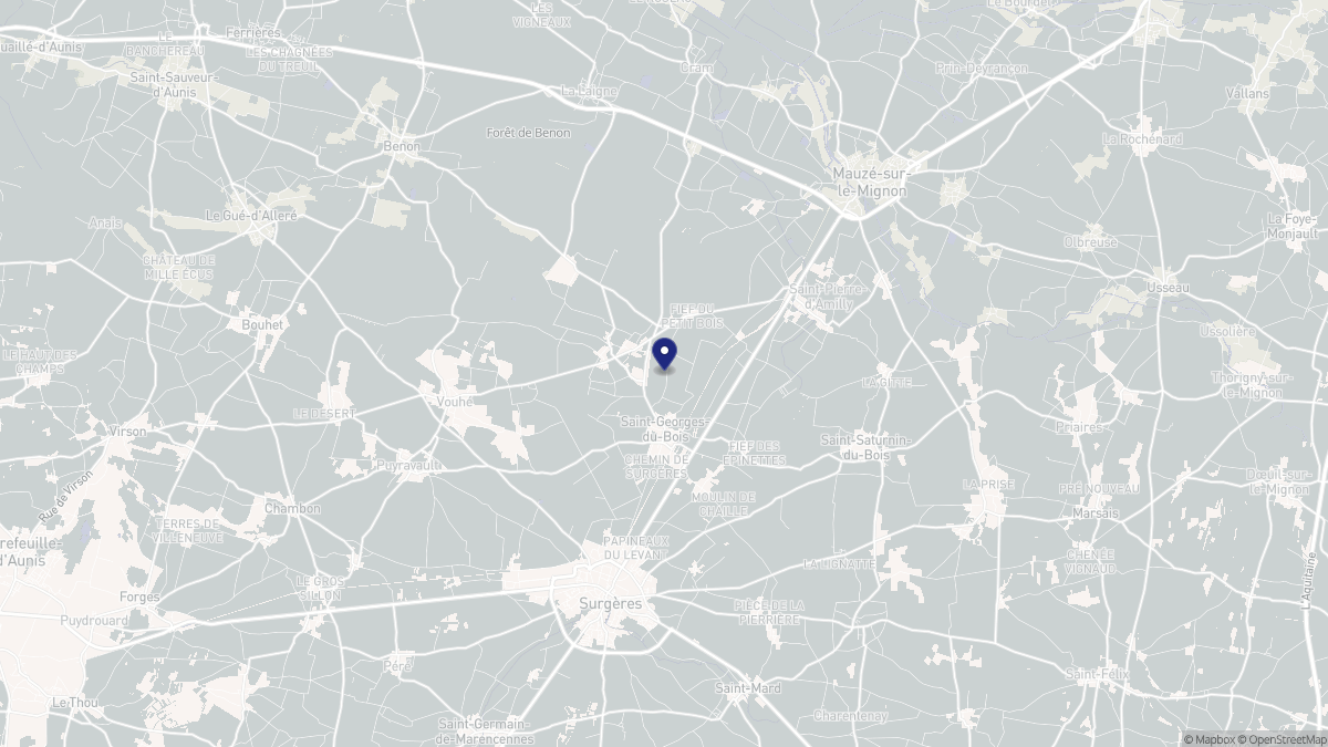 Aperçu cartographique de Saint-Georges-du-Bois, centré sur la commune