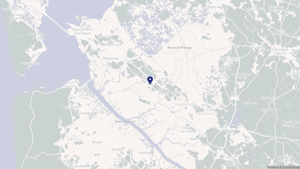 Aperçu cartographique de Saint-Just-Luzac, centré sur la commune