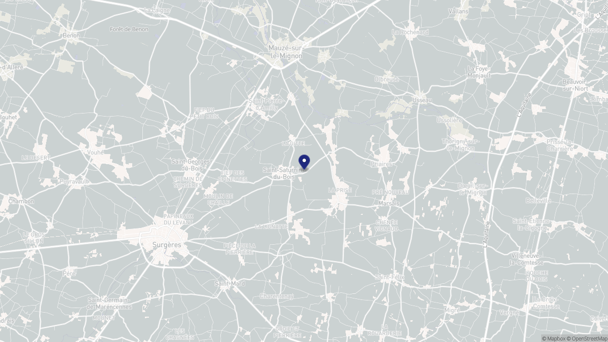 Aperçu cartographique de Saint-Saturnin-du-Bois, centré sur la commune