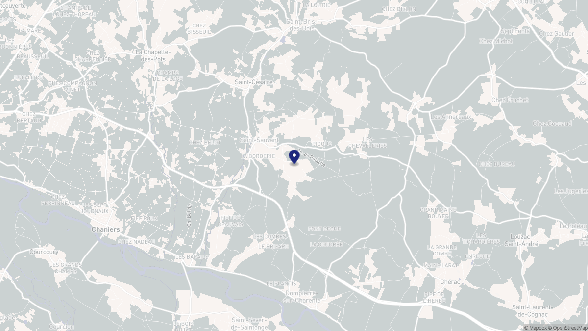Aperçu cartographique de Saint-Sauvant, centré sur la commune