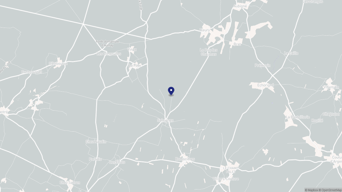 Aperçu cartographique de Saleignes, centré sur la commune