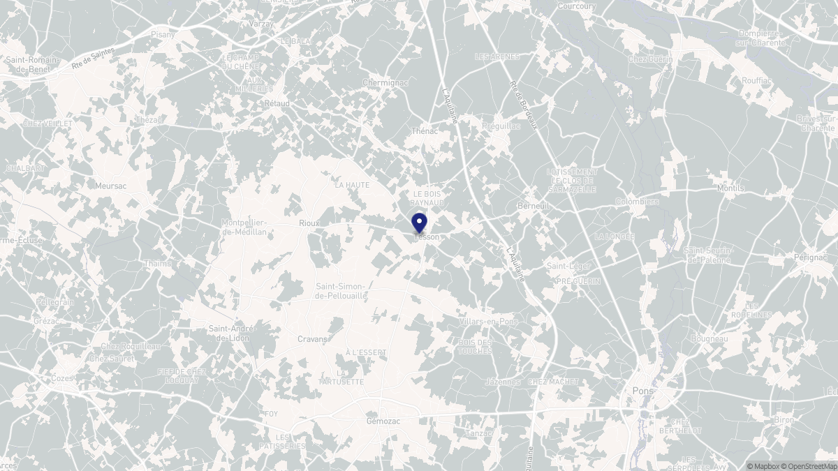 Aperçu cartographique de Tesson, centré sur la commune