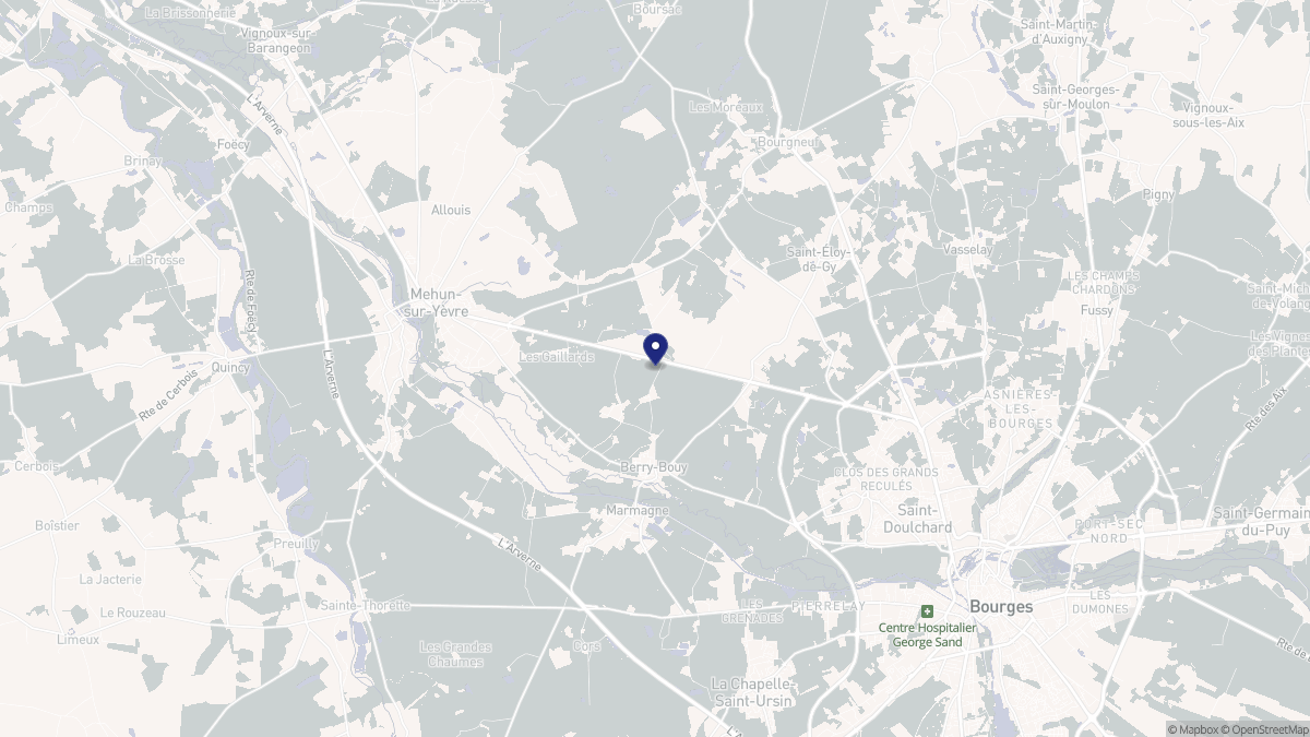 Aperçu cartographique de Berry-Bouy, centré sur la commune
