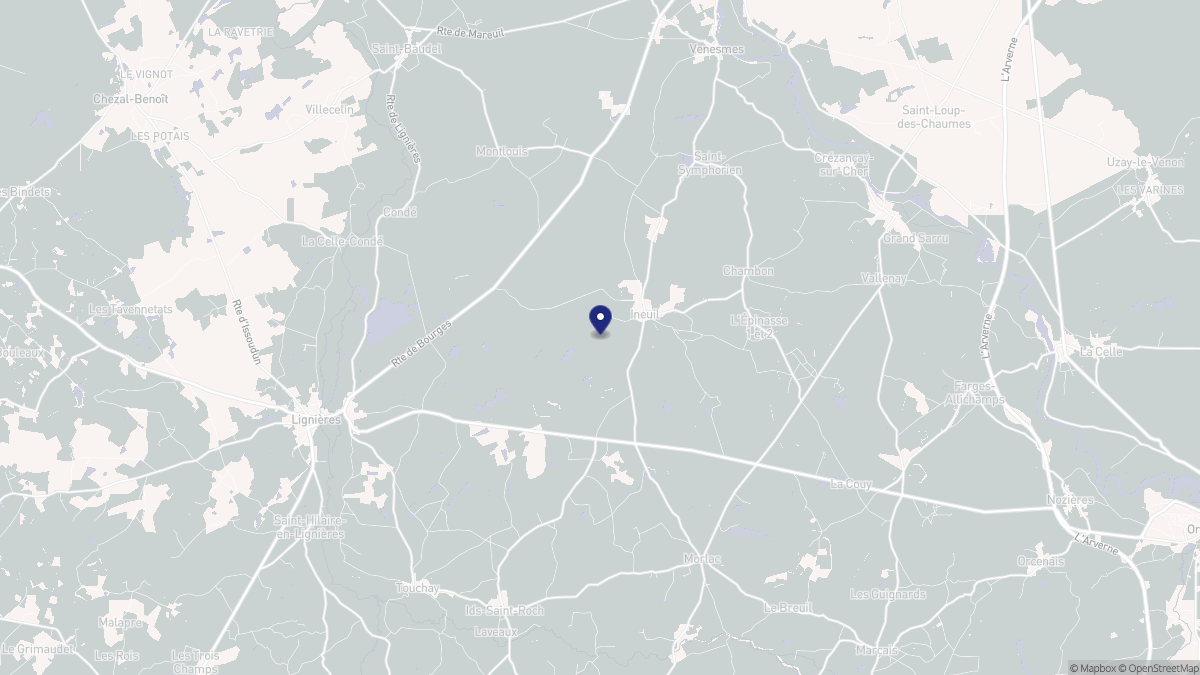 Aperçu cartographique de Ineuil, centré sur la commune