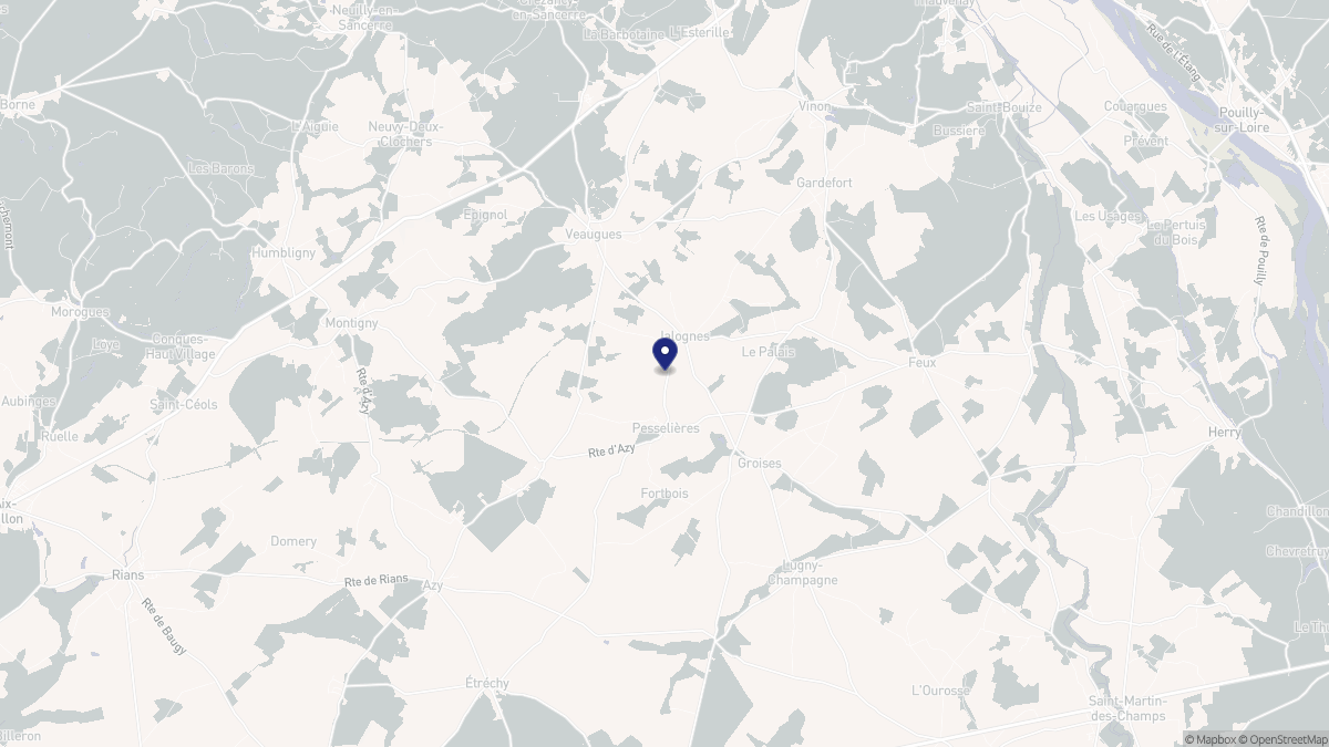 Aperçu cartographique de Jalognes, centré sur la commune
