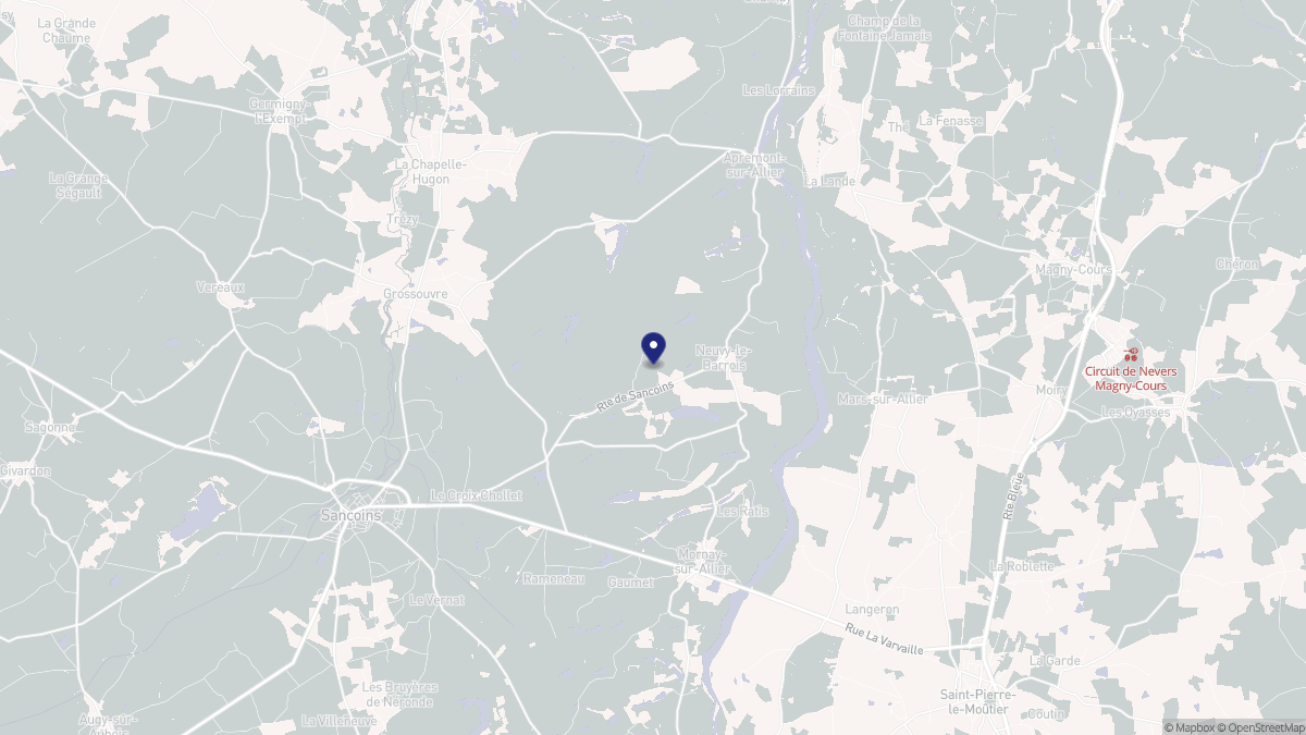Aperçu cartographique de Neuvy-le-Barrois, centré sur la commune