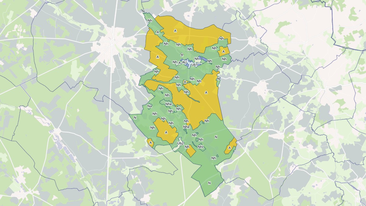 Aperçu cartographique de Oizon, centré sur la commune