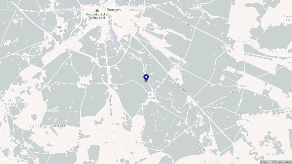 Aperçu cartographique de Plaimpied-Givaudins, centré sur la commune