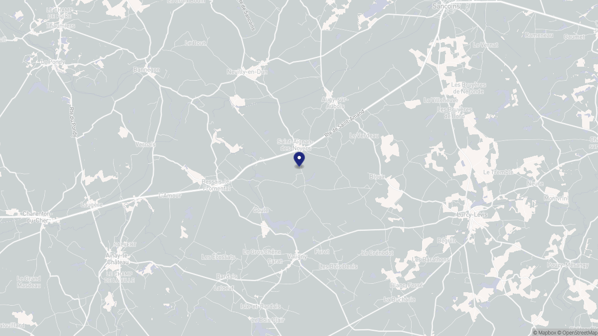 Aperçu cartographique de Saint-Aignan-des-Noyers, centré sur la commune