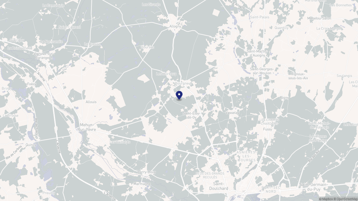 Aperçu cartographique de Saint-Éloy-de-Gy, centré sur la commune