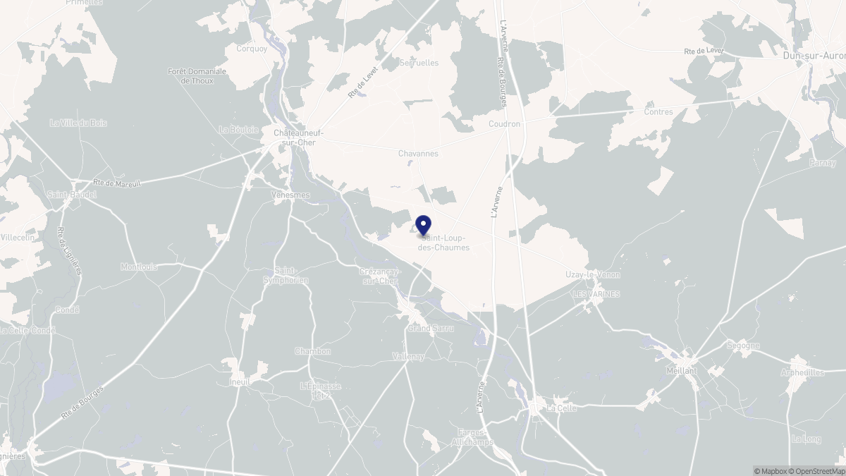 Aperçu cartographique de Saint-Loup-des-Chaumes, centré sur la commune