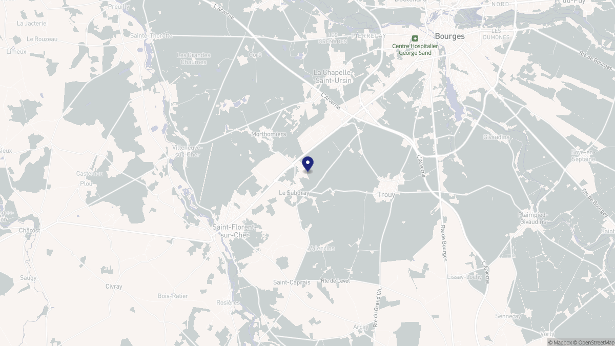 Aperçu cartographique de Le Subdray, centré sur la commune