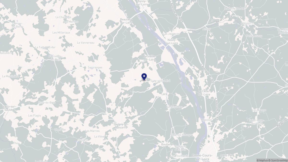 Aperçu cartographique de Sury-près-Léré, centré sur la commune