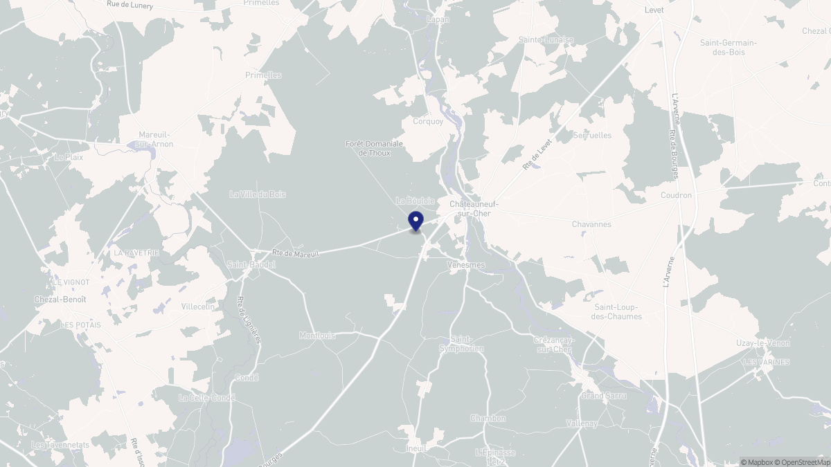 Aperçu cartographique de Venesmes, centré sur la commune