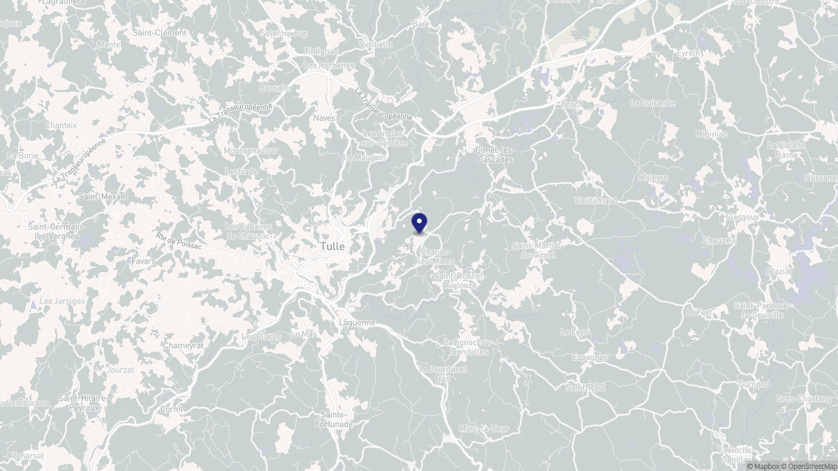 Aperçu cartographique de Chanac-les-Mines, centré sur la commune