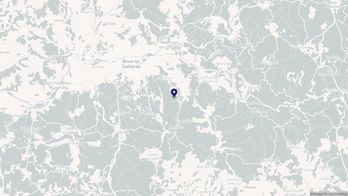 Aperçu cartographique de Cosnac, centré sur la commune