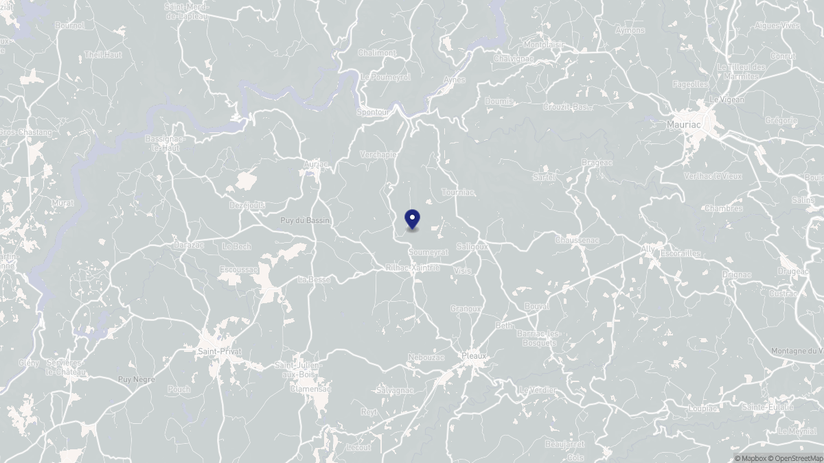Aperçu cartographique de Rilhac-Xaintrie, centré sur la commune