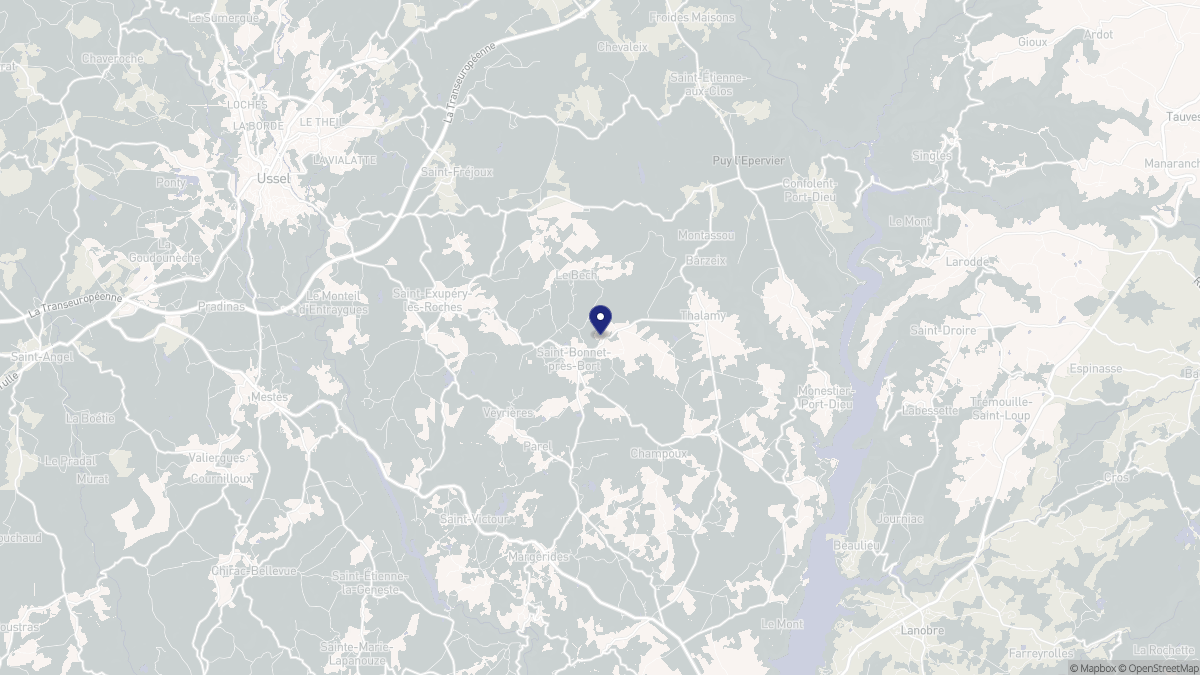 Aperçu cartographique de Saint-Bonnet-près-Bort, centré sur la commune