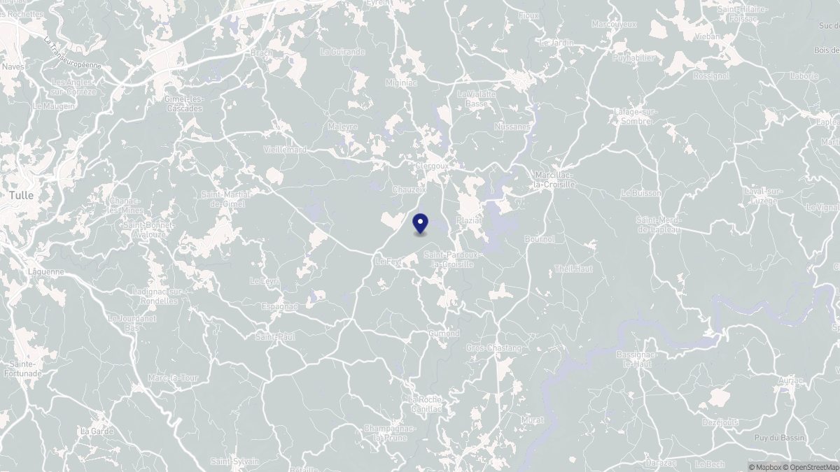 Aperçu cartographique de Saint-Pardoux-la-Croisille, centré sur la commune