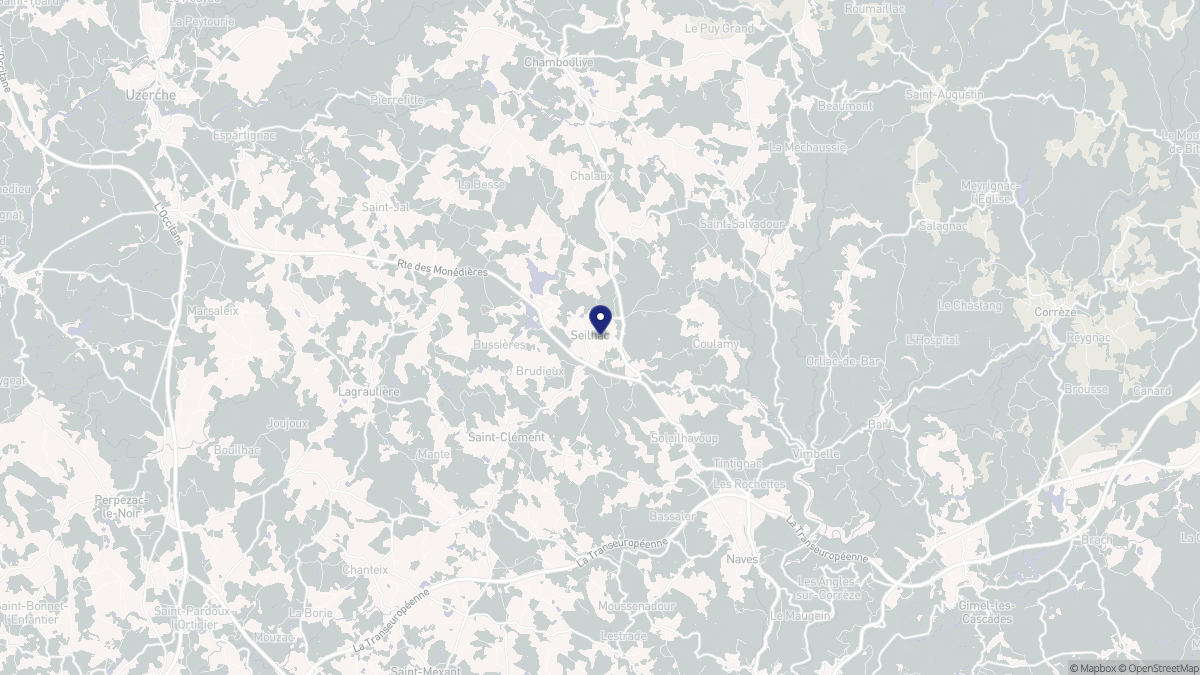 Aperçu cartographique de Seilhac, centré sur la commune